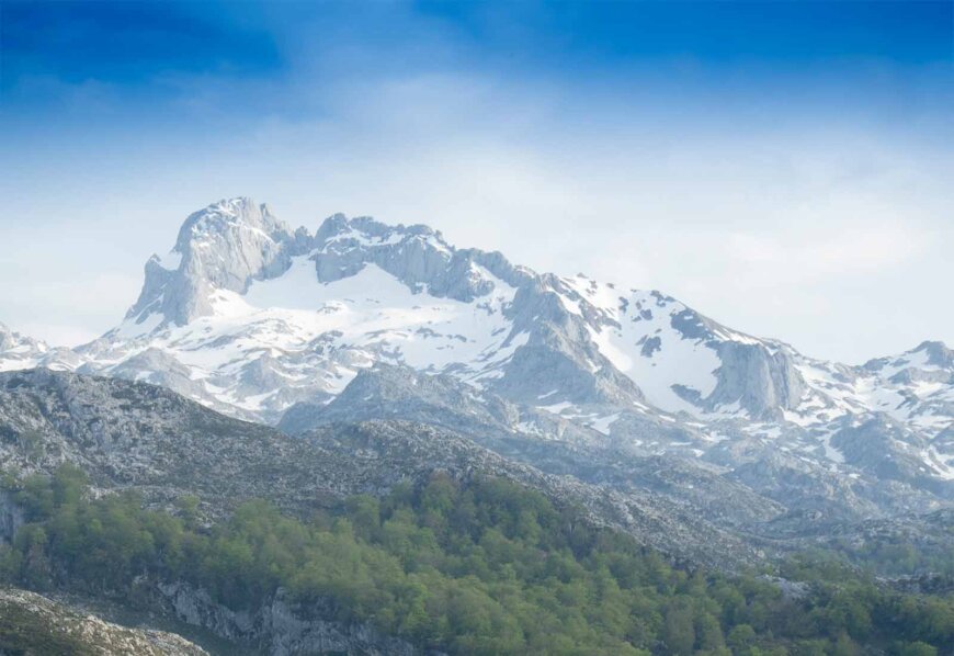 Imagen de inicio de sesión